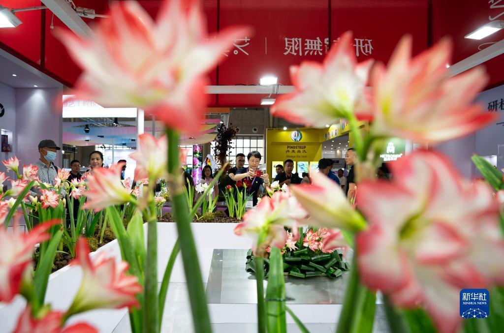 送彩金平台论坛